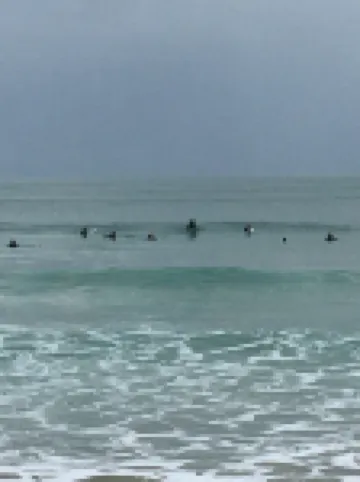 Time to wind down, hear the birds, the Sea. New EV Charger.Double Spa Bath.