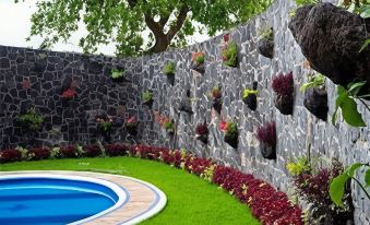 Soleil Inn Atlixco - Housity