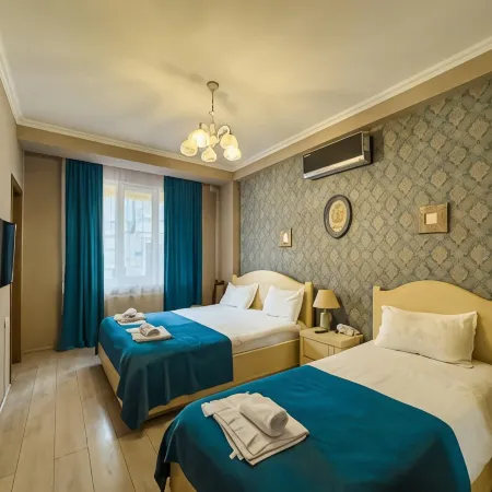 Hotel New Metekhi