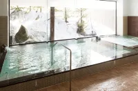 Sahoro Resort Hotel - Hot Springs