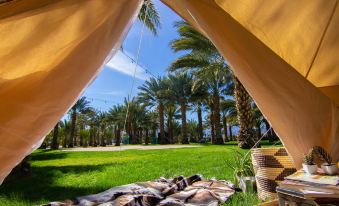 Festival Campgrounds Rancho 51