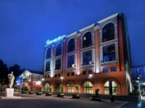 Pacific Hotel Fortino Hotels near Museo Egizio