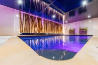 Best Western Plus Au Cheval Blanc Mulhouse Nord - spa