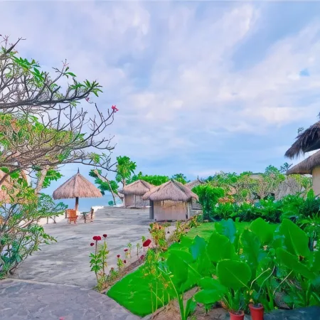Pasific Beach Cottages