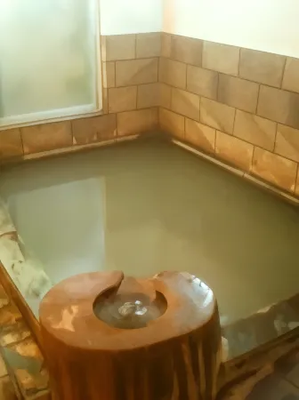 Saku Hotel   Onsen (Hot Spring) Отели рядом со станцией JR Nakagomi station