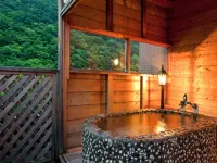 Otaru Asarigawa Onsen Hotel Musashitei - Hot Springs