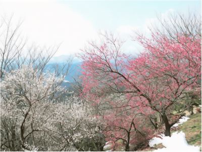 ホテル周辺 ホテル・ヘリテイジ飯能sta.の写真