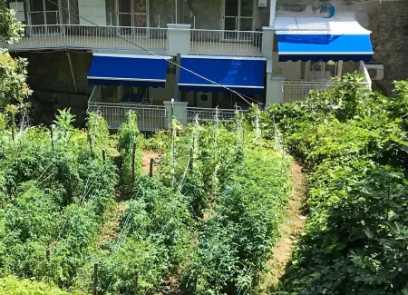 Casa Arienzo Отели рядом с достопримечательностью «Nocelle»