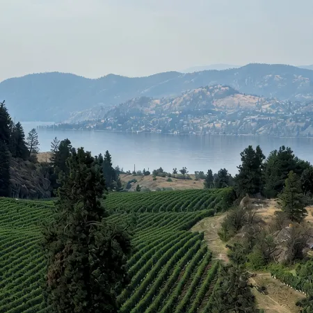 Cozy 2-bedroom apartment with WiFi, AC in amazing Penticton