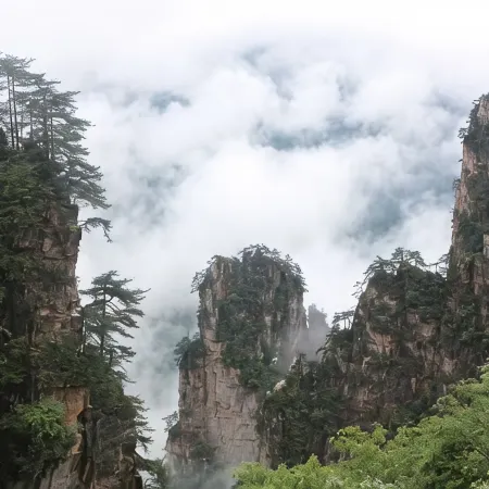 Zhangjiajie Miduo Inn (National Forest Park Wulingyuan East Gate)