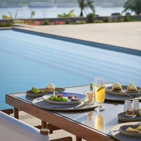 The Zen Wellness Resort
