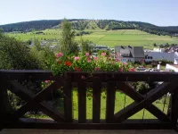 Hotel Magdalenenhof Inklusive MeineCardPlus Hotels in Willingen