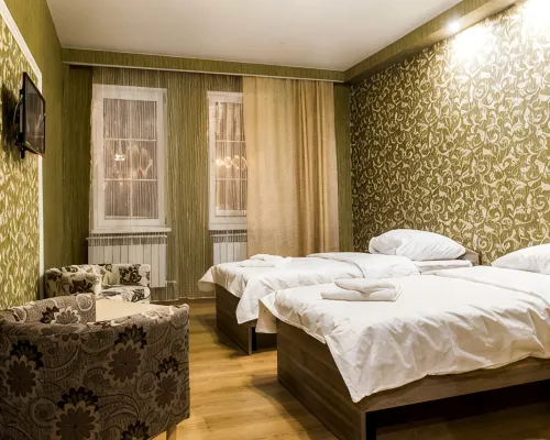 Nitstsa Hotel Hotels in Samara