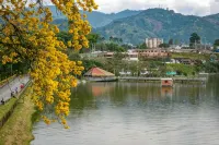 Cozy Inspiring Apartment in the heart of the coffee cultural landscape. - Apartments