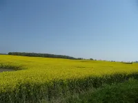 Vacation home Zastrow in Kappeln-Olpenitz 卡珀爾恩酒店