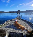 Clearlake Serenity House