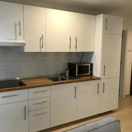 1 bedroom apartment in faro