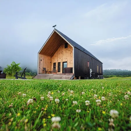Perfect Perch at Three Suns Cabins / Sunsets and Stars / River Access with Beach