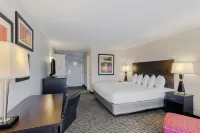 Best Western Kirkwood Inn - Pet friendly