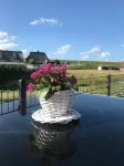 3 Bedrooms, 2 Bathrooms, 50m from the Dike, 6 Persons, 2 Terraces, up to 2 DogsX1f60a; - 3-Star