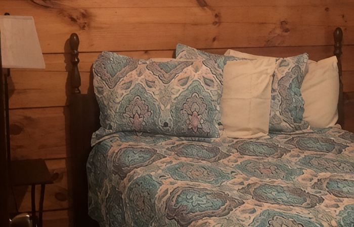 2 bedroom 1 bath cabin
