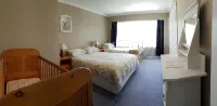Holiday House with Style - Geraldine Retreat