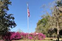 Farm/Woods Stay, 3 Miles from Live Oak