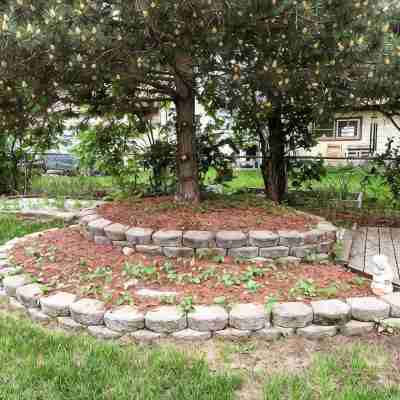 Downtown 3 BDRM Charming Casita Hotel Exterior