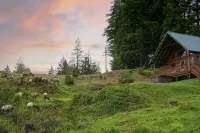 Mountain View Cabin, Hot Tub at White Pass Resort, Mt. Rainier