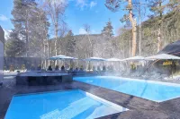 Hotel First Park Arkhyz - Pools