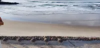 Seaside Salina ~ Beachfront Paradise!!!  (It's just nicer - Beach
