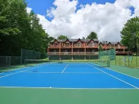 Redwood Retreat in Windham - Pool! Tennis!