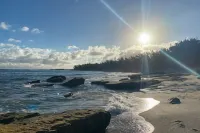 Hidden Gem! Turtle Bay Hideaway