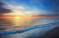 2 minutes from beautiful Siesta Key mainbeach! - 3-Star