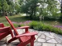 Charming Vintage Cabin on Beautiful Walloon Lake - Alppimaja