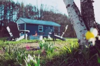 RIVER FRONT-Pet Friendly-Couples-Nature-Firepit - 4-Star