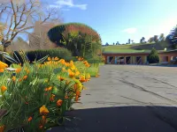 Cambria Palms Motel Hotels in Cambria