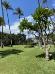 Cozy Ground Floor Condo at Kihei Akahi C-108 with A/C