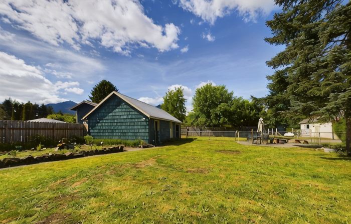 Daffodil Cottage! Downtown Packwood, walk to brewery, restaurants, shops! WIFI