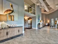 Elegant Oceanfront Condo at Pelican Beach. Spectacular views! - プライペートプール