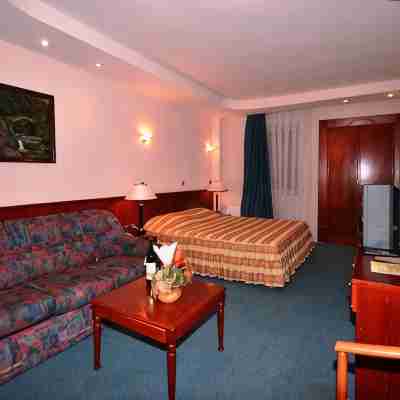 Hotel Lebed Rooms