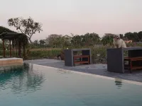 Rosella Cottages - Homestay - Yogyakarta - Pools