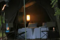 Big Game - Wilpattu by Eco Team - camping