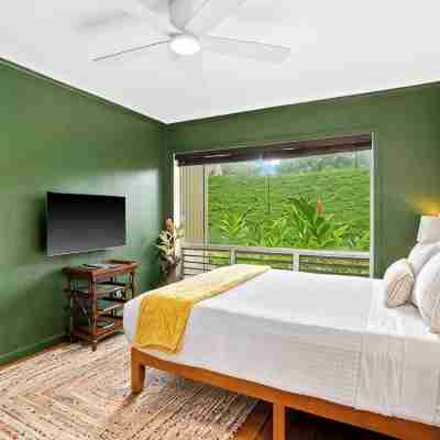 Princeville Oasis • Ocean Retreat • Stunning Views! Rooms
