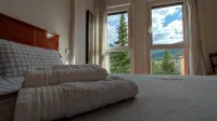 Charming, with views, comfortable and centrally located. Close to the river and the National Park. - Homestays