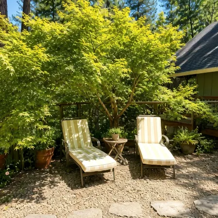 Sage House - Walking Distance to Lake, Hot Tub, Pet Friendly w/ New AC