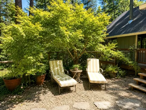 Sage House - Walking Distance to Lake, Hot Tub, Pet Friendly w/ New AC - Boutique