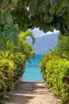 Legendary Estate 50 Steps to Maui’s Best Beach! New! 5 Bedroom, Pool With Slide! - 3-Star