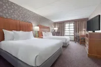 Hilton Garden Inn Springfield, MA - Pool