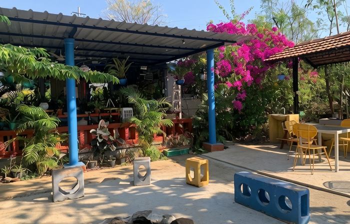 Wilderness Jungle Camp